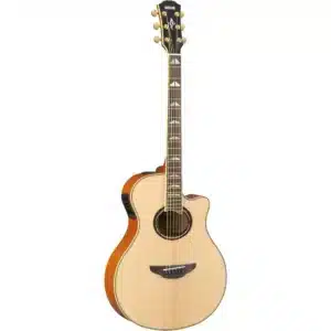 dan guitar acoustic yamaha apx1000 1