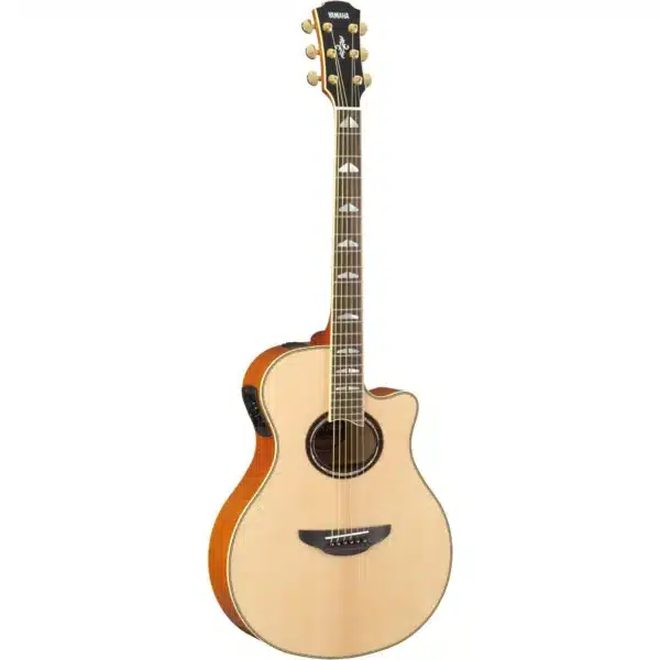 Đàn Guitar Acoustic Yamaha APX1000 dan guitar acoustic yamaha apx1000 1