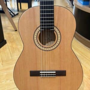 dan guitar tanglewood classic emc44w 1