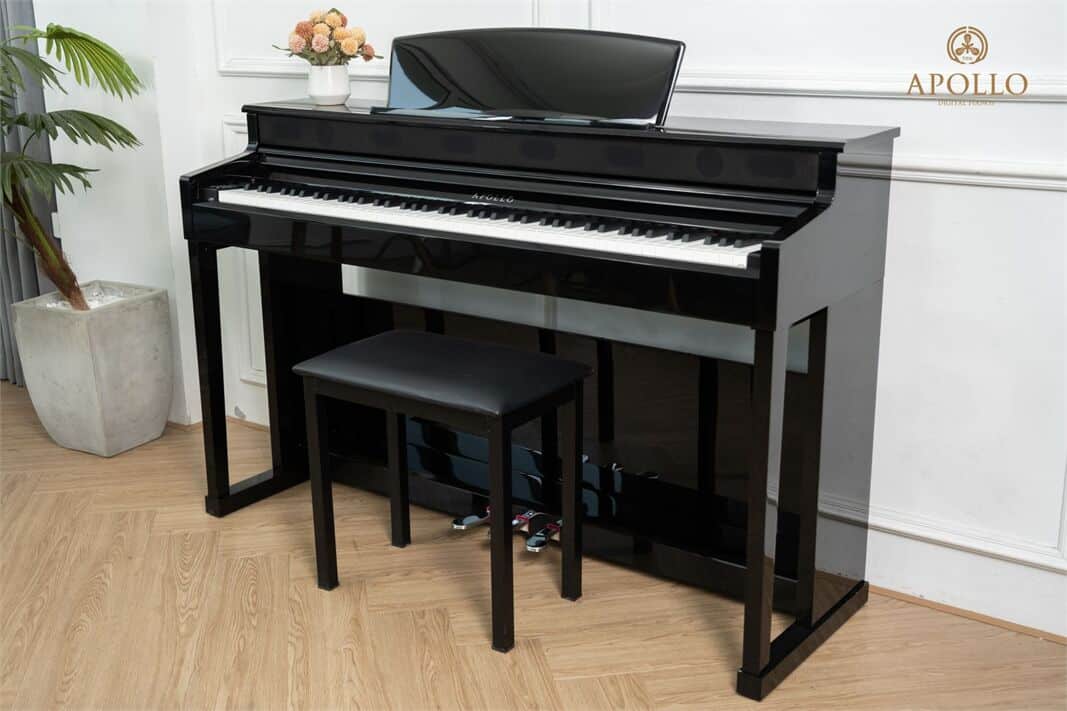 dan piano dien apollo kp88