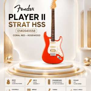 dan guitar dien 0140540558
