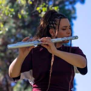 ken hoi dien roland aerophone brisa 2