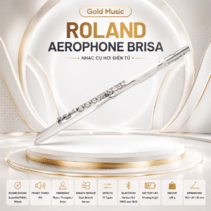 ken hoi dien roland aerophone brisa 8