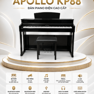 dan piano dien apollo kp88