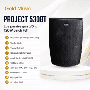 project 530bt loa passive gan tuong 120w 5inch fbt