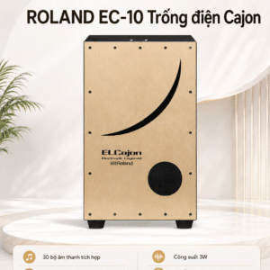 ROLAND EC-10 Trống điện Cajon
