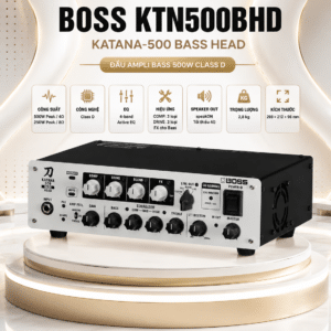 roland ktn500bhd loa guitar dien 1