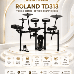 roland td313 bo trong dien 3
