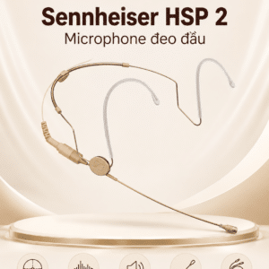 hsp 2