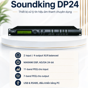 soundking dp24
