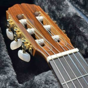 takamine dan guitar classic eh5c