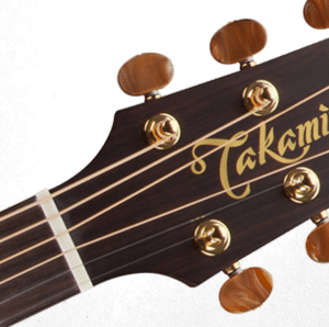 takamine p3dc dan guitar acoustic 1