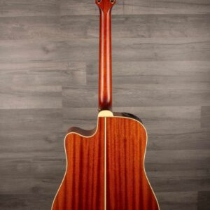 takamine p3dc dan guitar acoustic 3