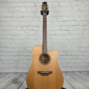 takamine p3dc dan guitar acoustic 4