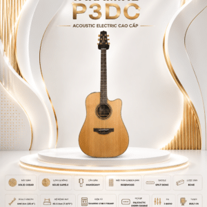 takamine p3dc dan guitar acoustic 4