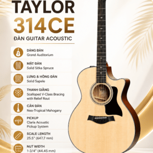 taylor 314ce dan guitar acoustic 3