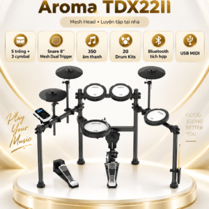 trong dien tu aroma tdx22ii 4