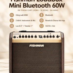 ampli guitar acoustic fishman loudbox mini 60w