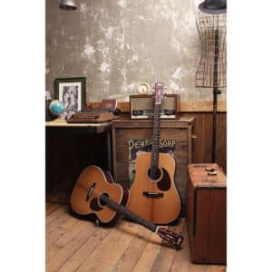 dan guitar acoustic cort earth 200