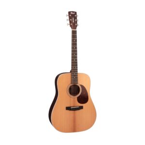 dan guitar acoustic cort earth 200 4