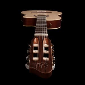 dan guitar classic godin arena cw clasica ii