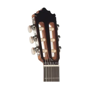 dan guitar classic paco castillo 202