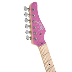 dan guitar dien cort g250 spectrum 2