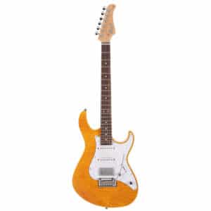 dan guitar dien cort g280 select 3