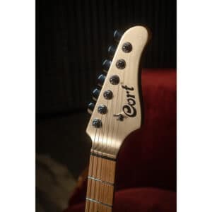 dan guitar dien cort g300 pro 1