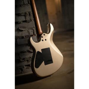 dan guitar dien cort g300 pro