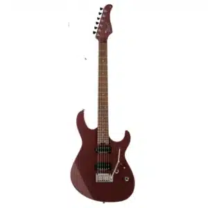 dan guitar dien cort g300 pro 4