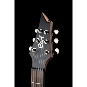 dan guitar dien cort kx500 etched 2