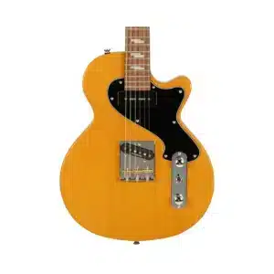 dan guitar dien cort sunset tc