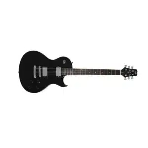 dan guitar dien peavey sc 1 1