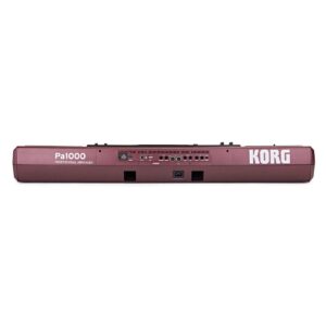 dan organ korg pa1000 1