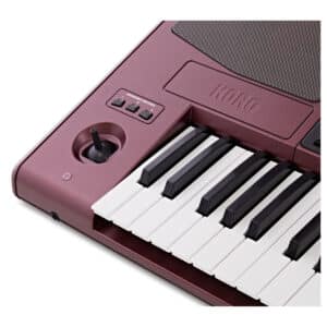 dan organ korg pa1000 3