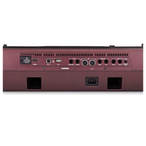 dan organ korg pa1000