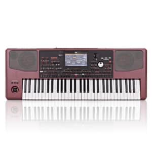 dan organ korg pa1000 6