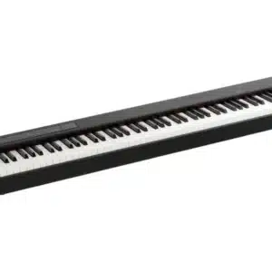 dan piano dien korg d1 2