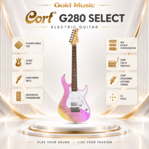 dan guitar dien cort g280 select 2