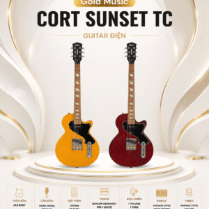 dan guitar dien cort sunset tc 3