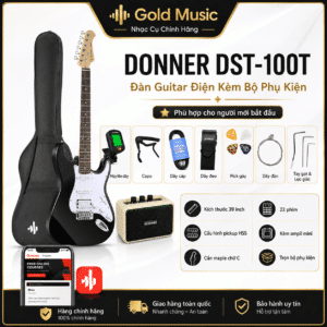 guitar dien donner dst 100t tidepool