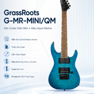 guitar dien grassroots g mr qm mini