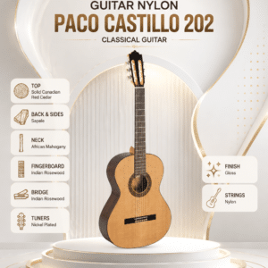 dan guitar classic paco castillo 202 2