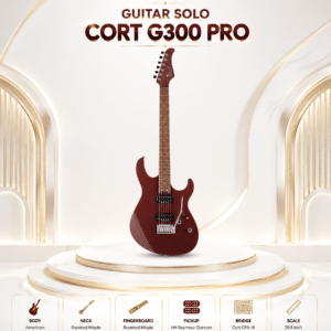 dan guitar dien cort g300 pro 4