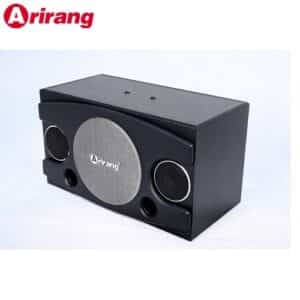 loa karaoke arirang jant vi 4