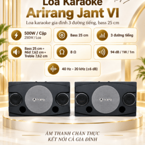 loa karaoke arirang jant vi 4