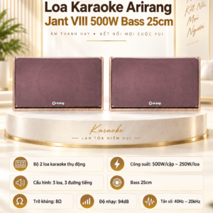 loa karaoke arirang jant viii 5