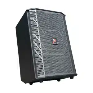 loa xach tay prosing ps 909 3