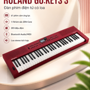 roland gokeys3 rd dan phim dien tu co loa 1